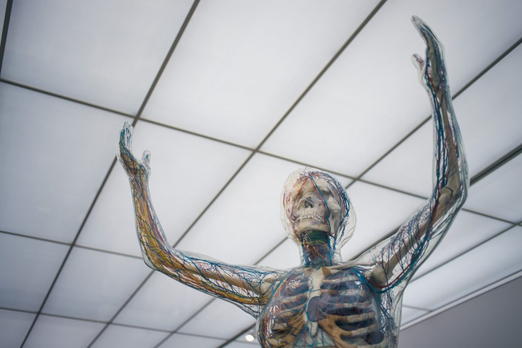 common neurological disorders in adults