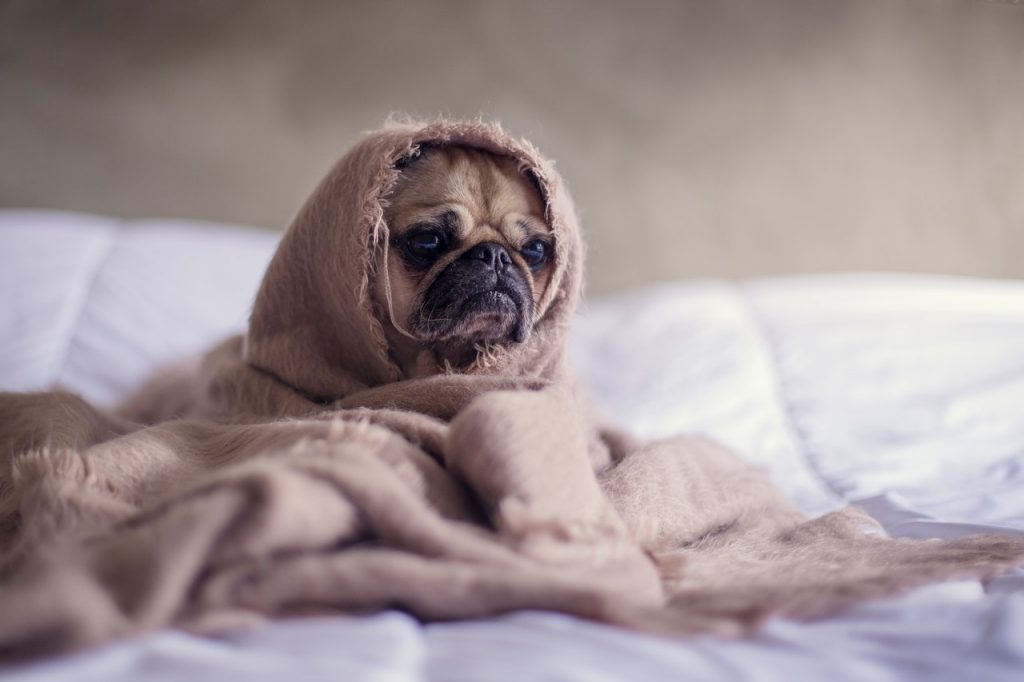 3 Things You May Not Know to Clean in Your House