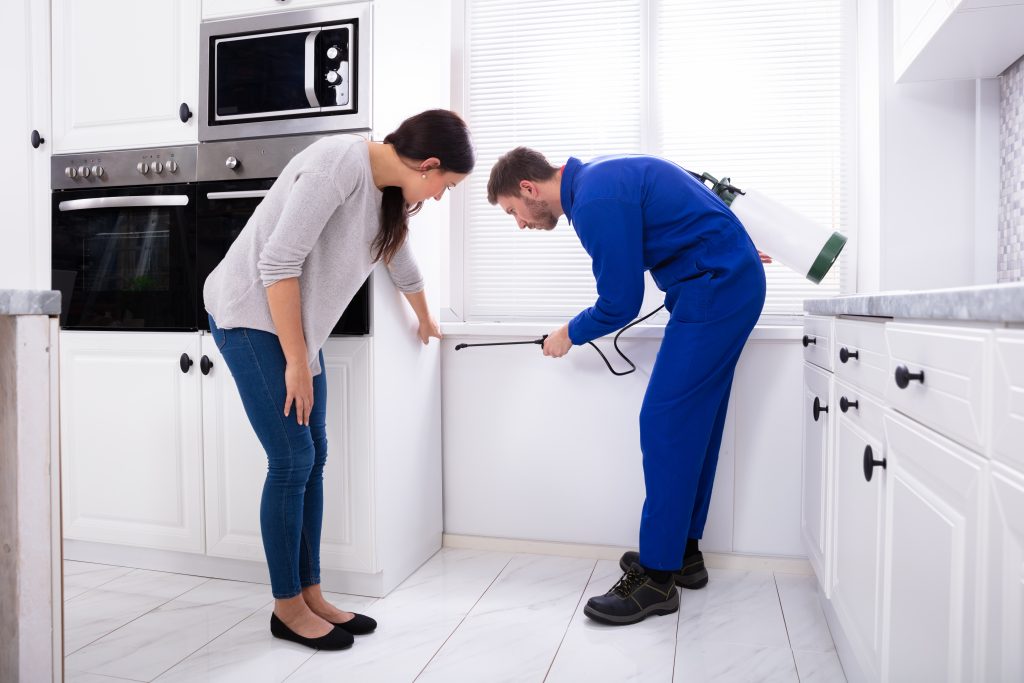 4 Signs Its Time to Call an Exterminator