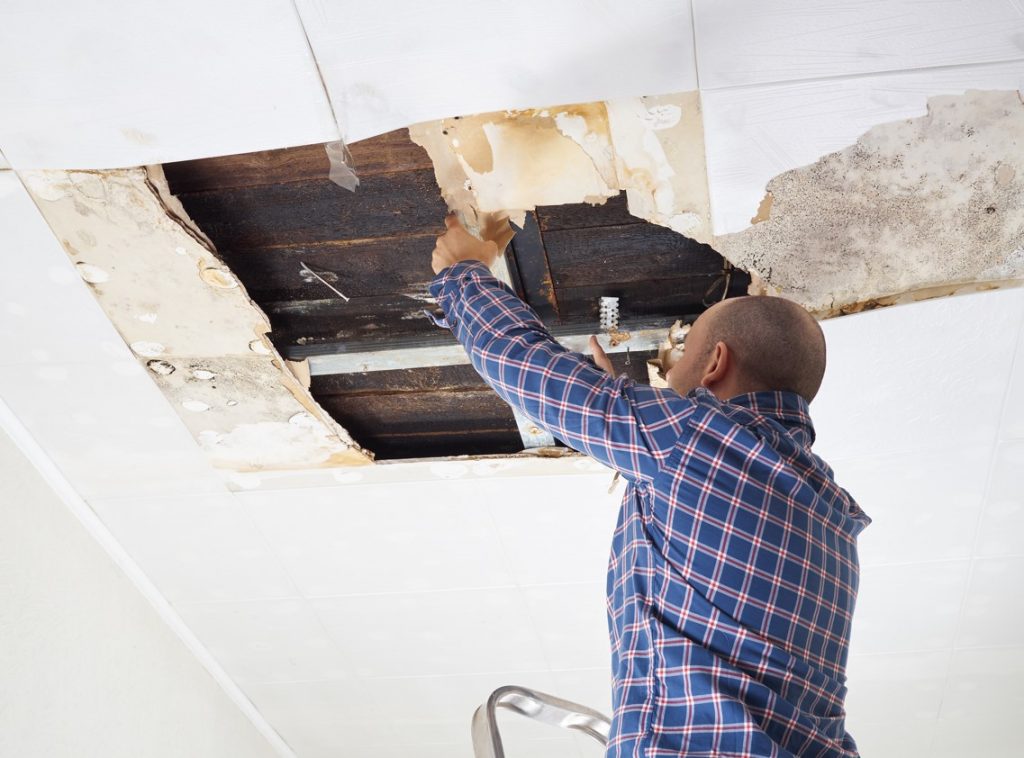 Water Damage Repairs To Get Your Home Ready To Move Into Again