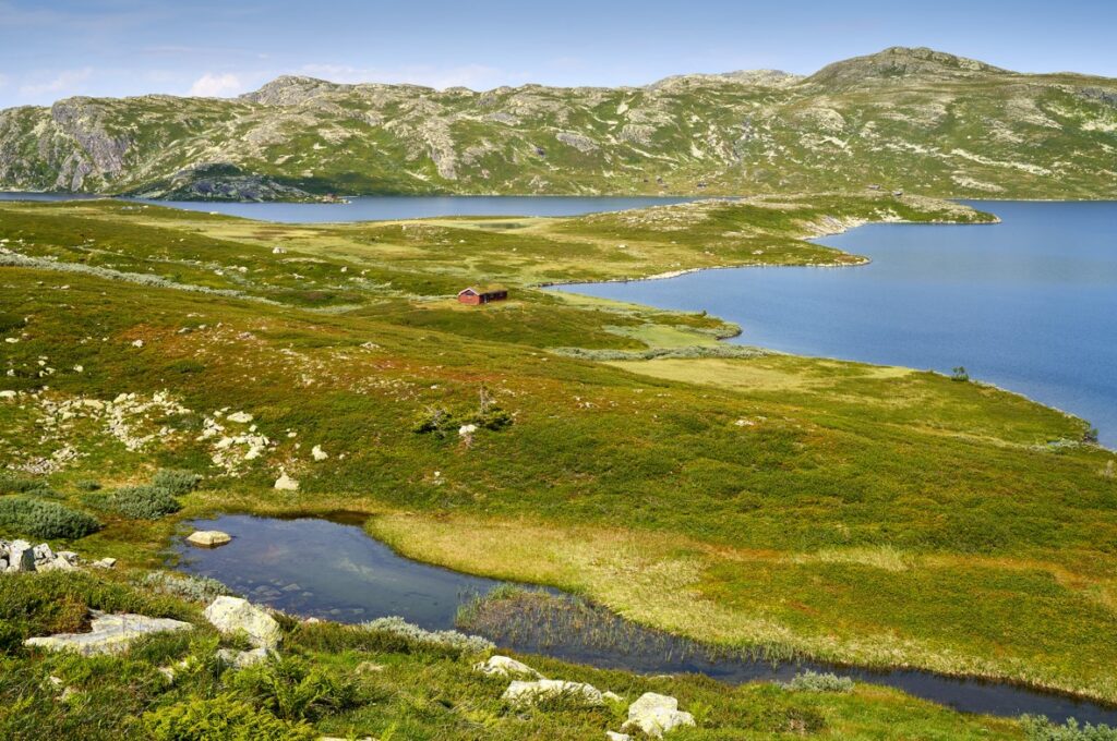 Live Off-Grid