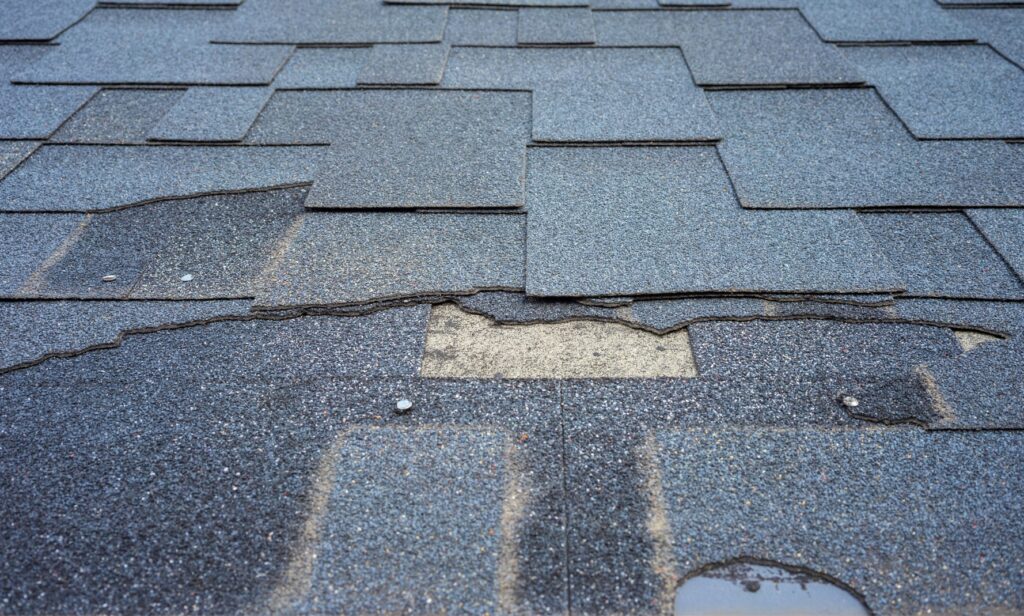 6 Things To Look For When Checking Up on Your Roof