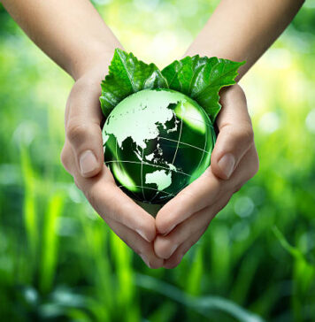 Environment