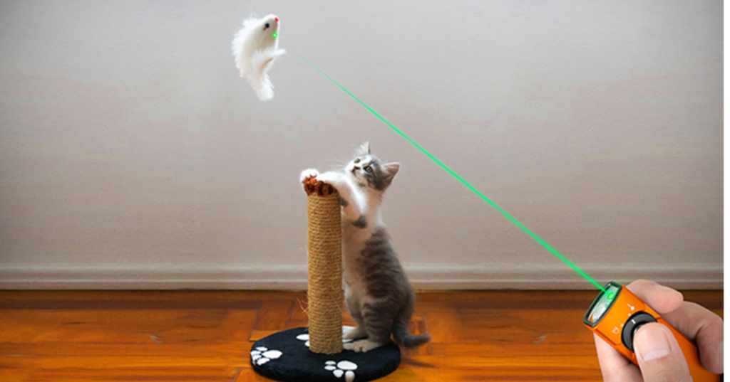 Olight Arkfeld for Pet Play