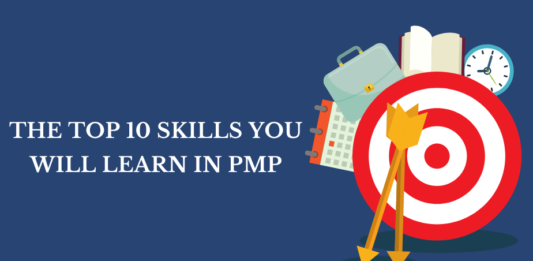 Project Management Professional