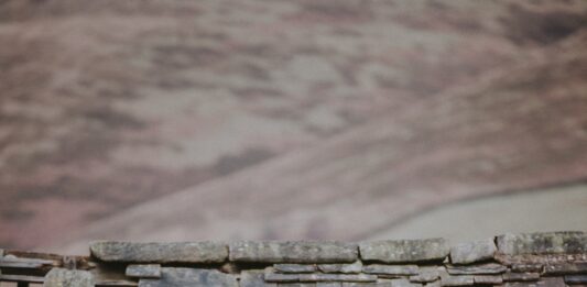 Roof Damage and How to Combat Them