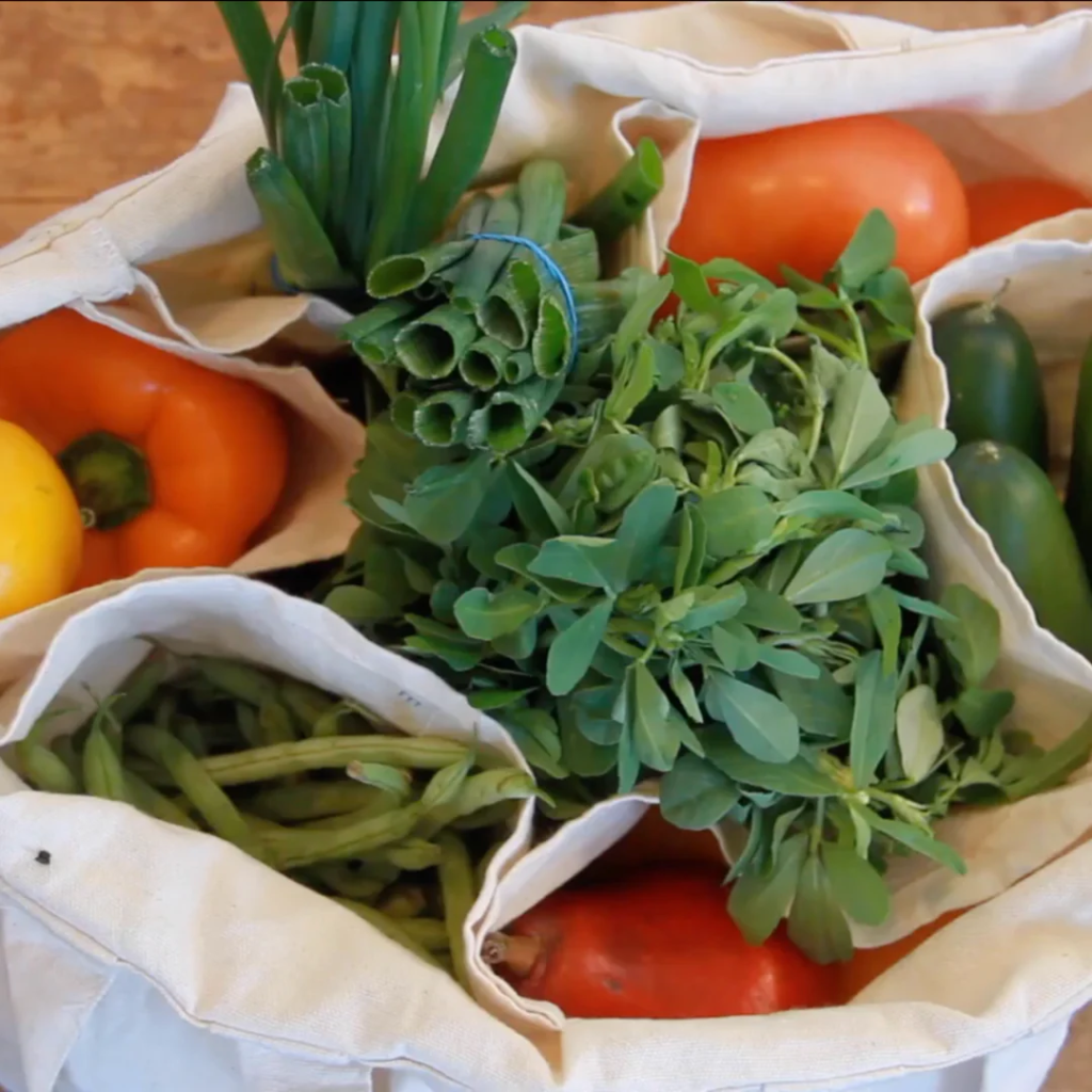 Buying Grocery Shopping Bags