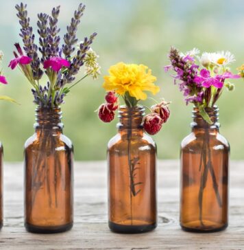 Vegan Supplements