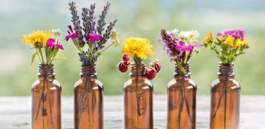 Vegan Supplements