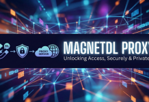 MagnetDL Proxy