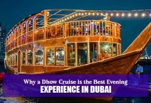 Cruise Dubai