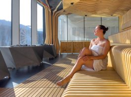 The Great Disconnect: Why Digital Detox Cabins Are 2026’s Defining Travel Trend Digital Detox Cabins