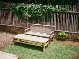 DIY Garden