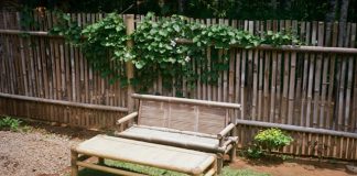 DIY Garden