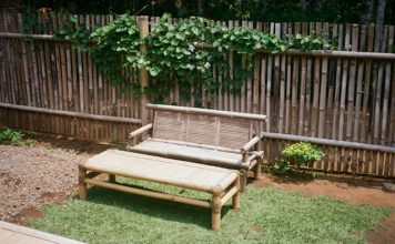 DIY Garden