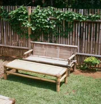 DIY Garden