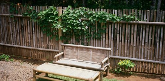 DIY Garden