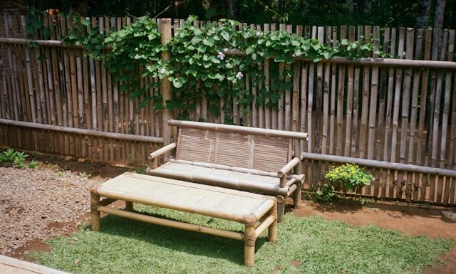 DIY Garden