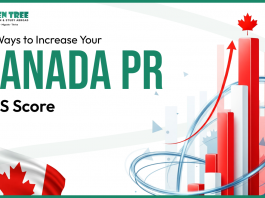 10 Ways to Increase Your Canada PR CRS Score