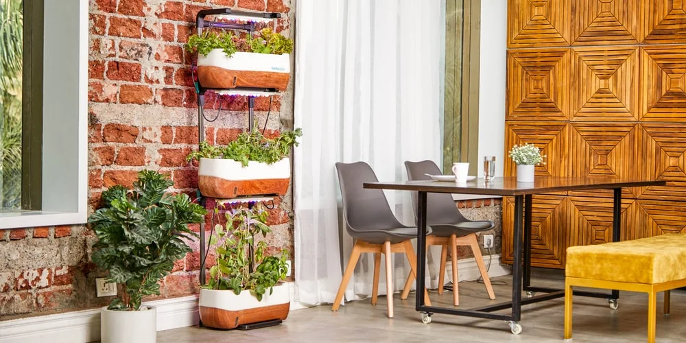  Everything you need to know about the layout of an Indoor Garden