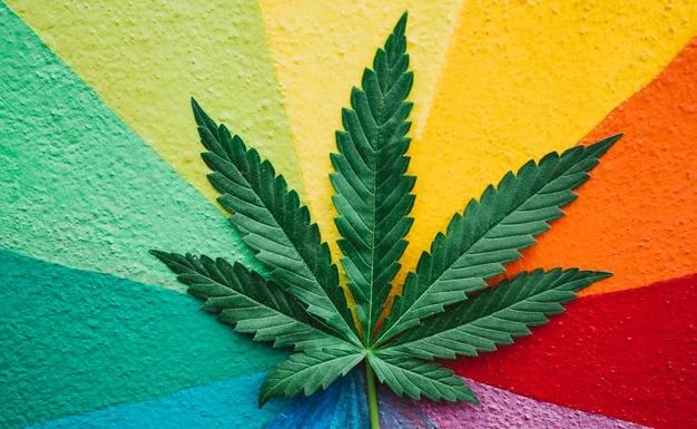  Cannabis Social Media Marketing Explained