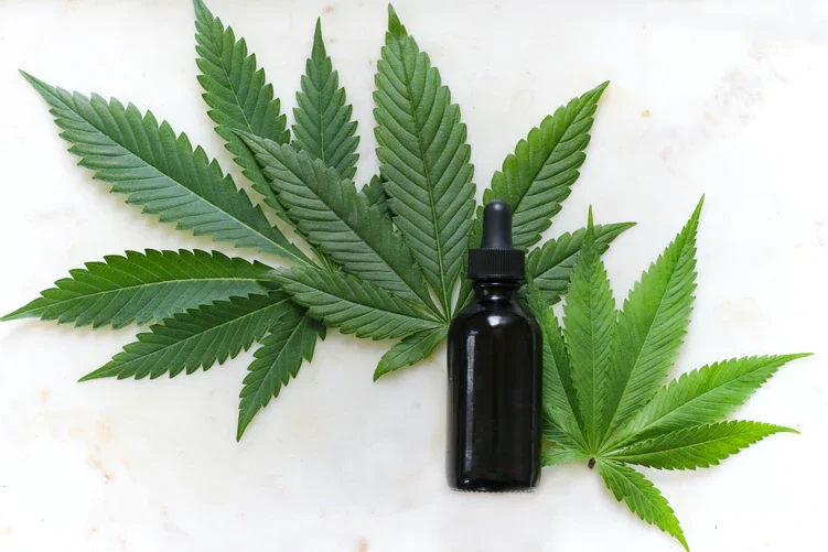  5 Things To Know About The Future Of Cannabis Technology