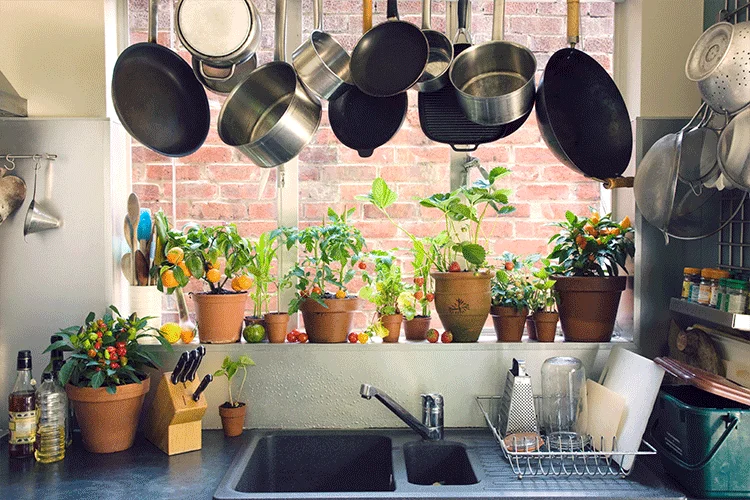  Mini Garden Ideas for Your Kitchen interior to be fresher   
