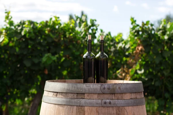  Top 7 Impressive Wine Tours To Experience In France