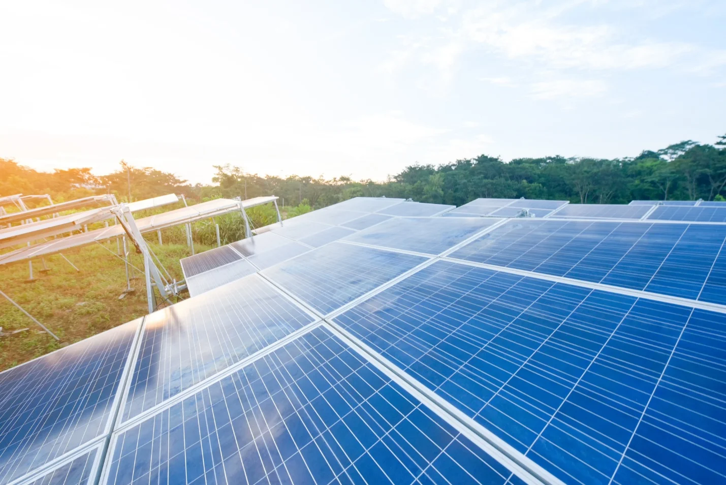  Is Solar in Florida Worth It? 4 Reasons Why
