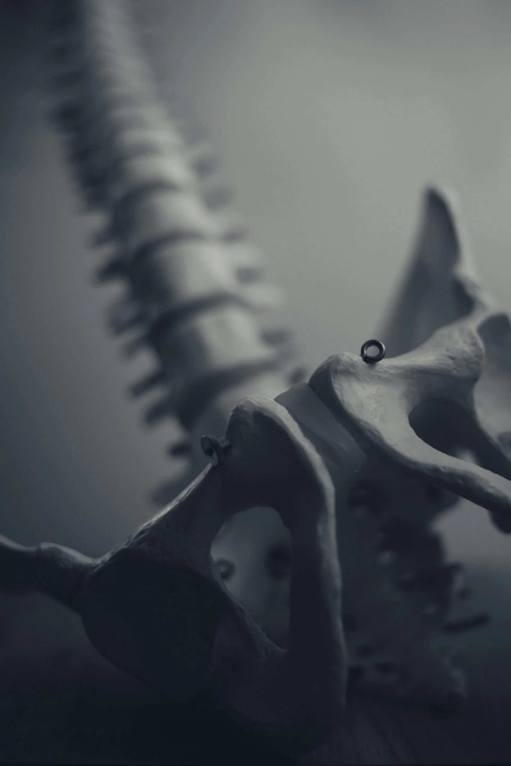  Causes of Pelvic Floor Pain – Symptoms & Ways to Get Relief