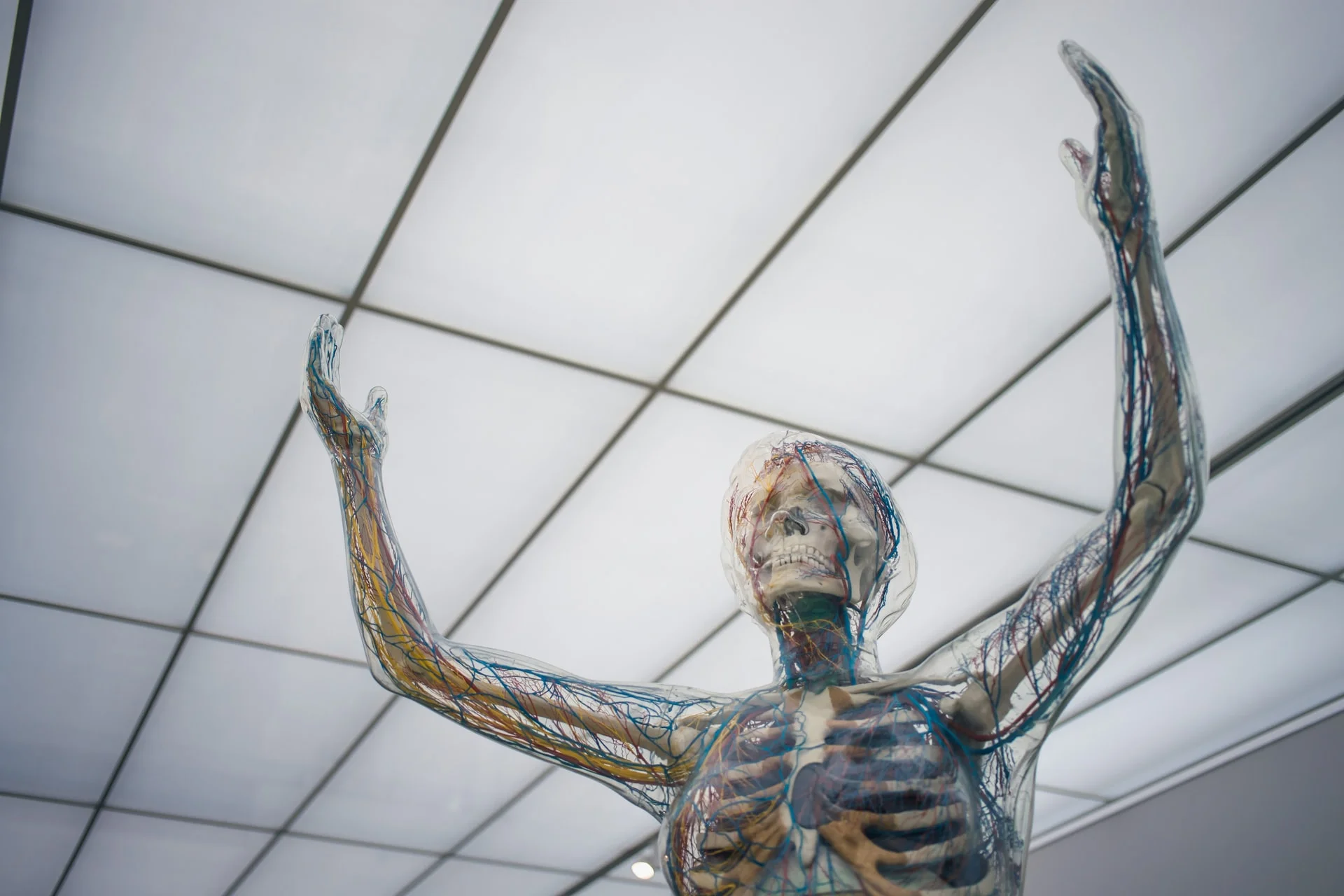 The Common Neurological Disorders In Adults