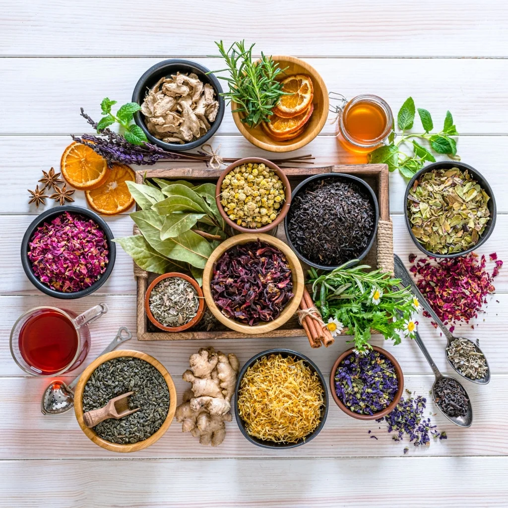  Best Medical Nutrition Therapy for Weight Loss