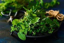  Herbs to reduce weight